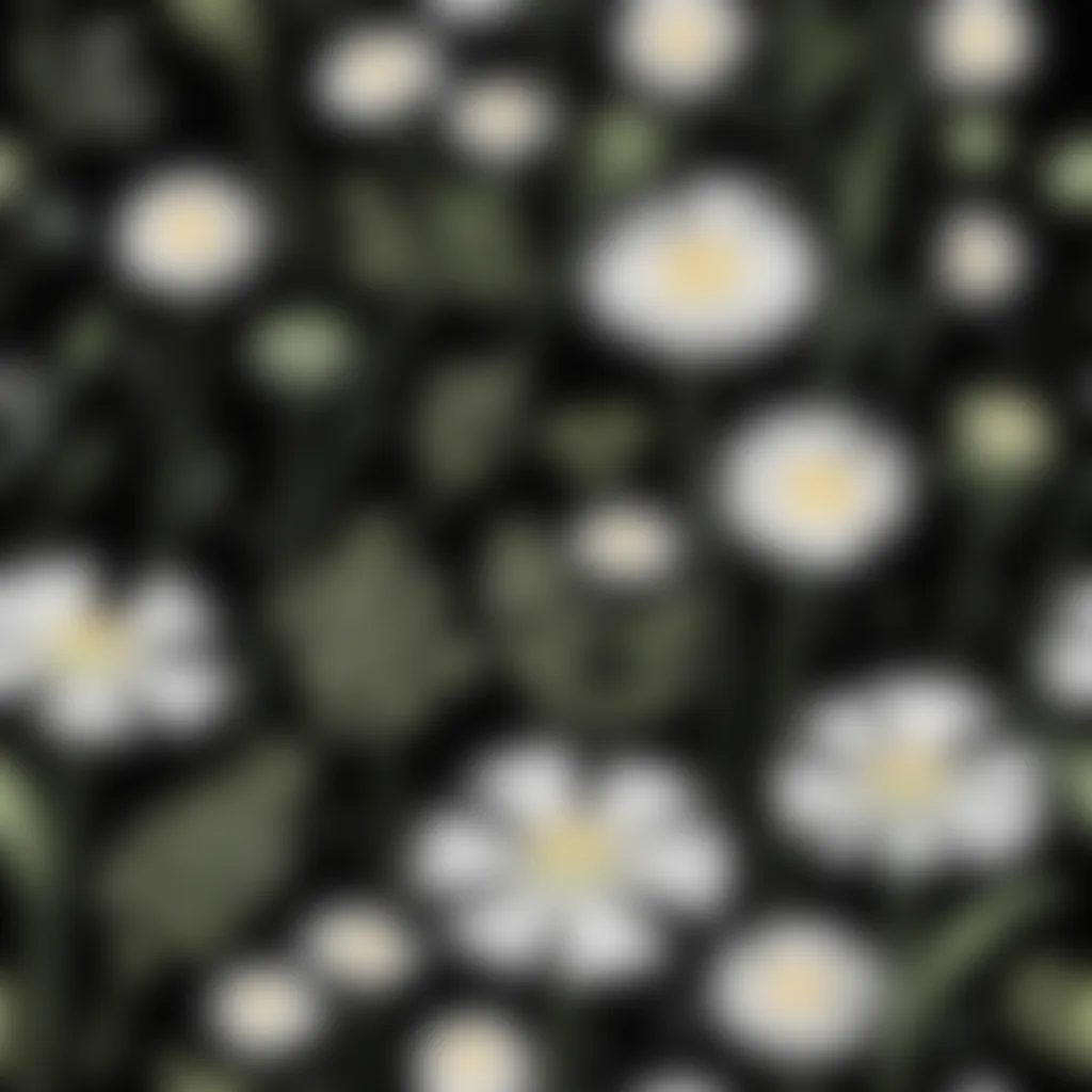 AI-generated pattern design showcase